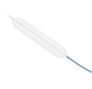 Balloon Dilatation Catheter with Beyomed Brand