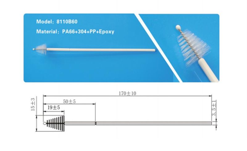 Sterile Nylon Female Vagina Sample Collection Cytobrush Gynecological Disposable Cervical Brush for Hpv Virus