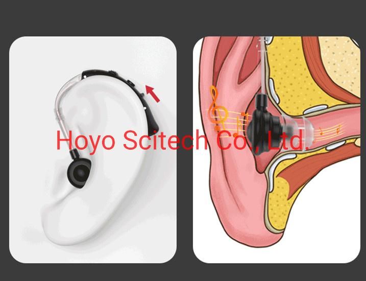 China Digital Hearing Aid Rechargeable Digital Hearing Aid