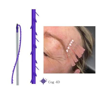 Cog 3D Pdo Thread for Face Lifting Cog Thread 4D Cog Blunt Cannula Pdo Lifting Thread