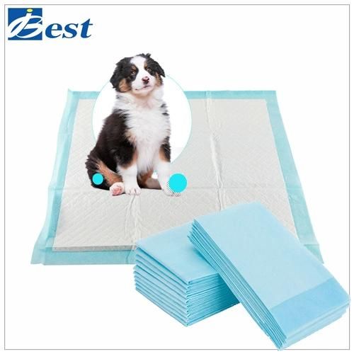 Best Chinese Puppy Training Pet Pads