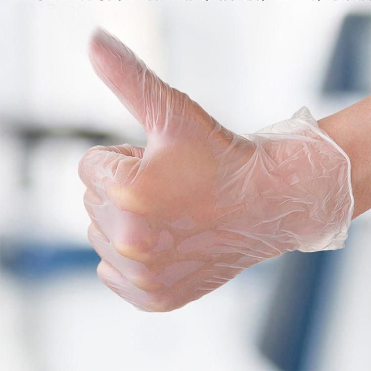 Disposable Vinyl Powdered and Powder Free PVC Glove