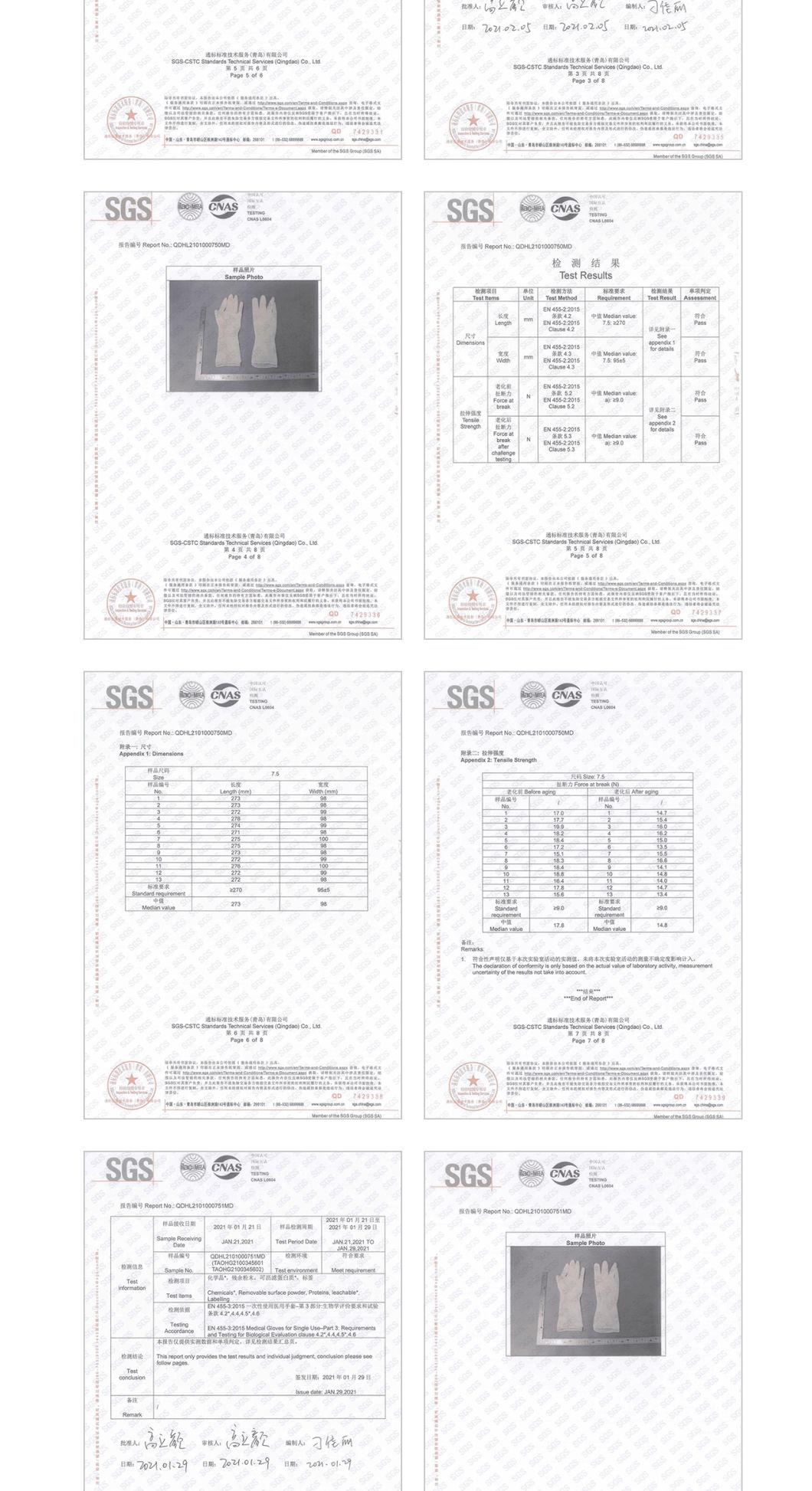 Medical Examination High Flexibility Sterilized Surgical Latex Glove