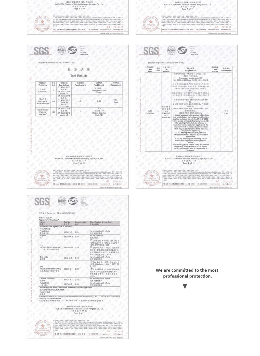 Sterilized Latex Surgical Gloves for Medical Examination Glove