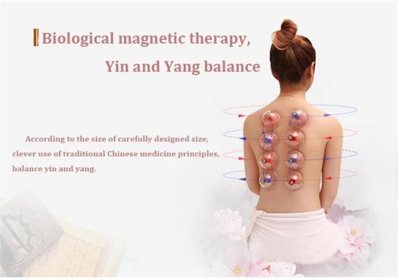 Chinese Cupping Therapy Set Manufacture Cups