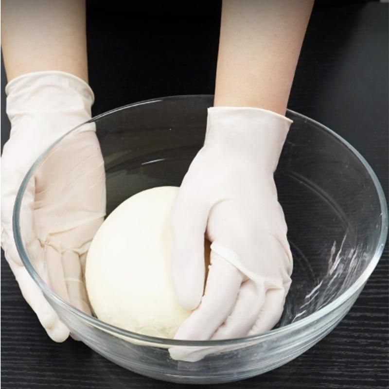 Latex Examination Gloves, Powder Free Examination Gloves, Disposable Gloves