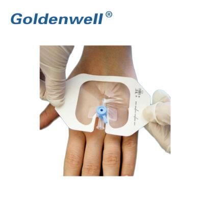 IV Cannula Dressing, Surgical Wound Dressing, Adhesive Dressing