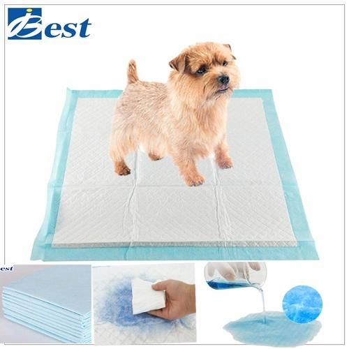 OEM Manufacturer Pets Training Disposable Pad Customized