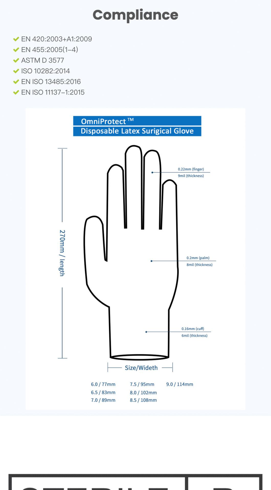 Gusiie Good Quality Sterilized Powder Free Latex Surgical Glove / Medical Glove