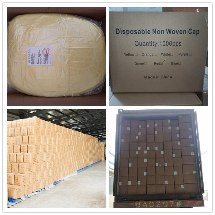 Eco Friendly Cofias Desechables Food Industry White Blue Disposable Mesh Nonwoven Hair Net Weaving Bouffant Hair Caps