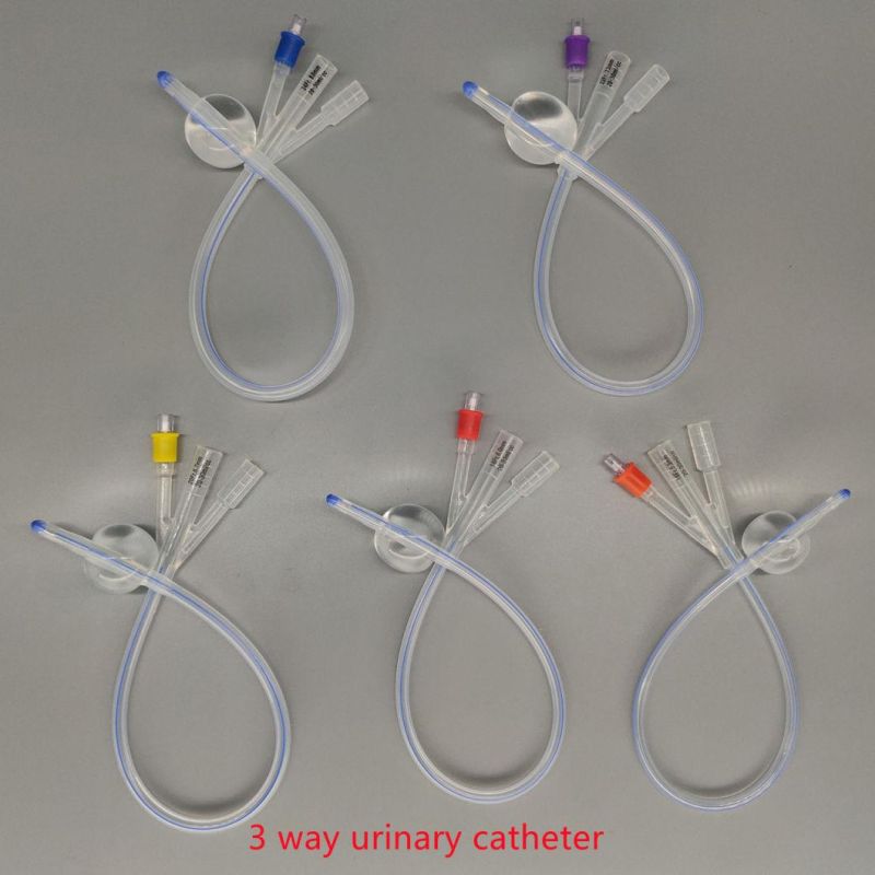 F6-F24 2 Way Double-Lumen Standard Type Full Silicon Urethral Catheter/Foley Catheter