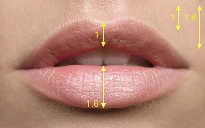 Injectable Sodium Hyaluronate Dermal Filler Cross Linked Hyaluronic Acid for Face Lip Breast Buttocks Penis Enhancement Facial Wrinkle Chin Cheeks Ha Injection