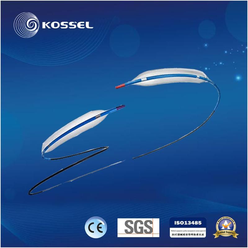 OEM with CE Rx Design Soft Atraumatic Tapered Tip and Non-Compliant Ptca Balloon Dilatation Catheter