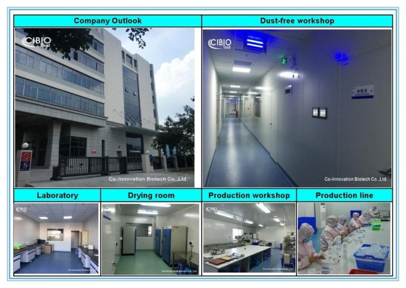 12-Panel Urine Drug Test Card (AMP/BAR/BUP/BZO/COC/mAMP/MDMA/MOP/MTD/OXY/PCP/THC)