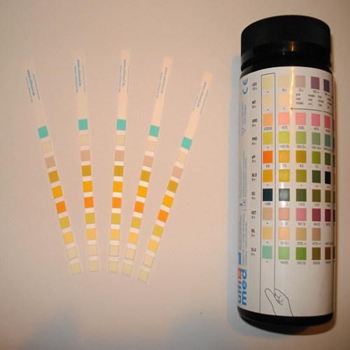 Ten Parameter Urine Test Strip