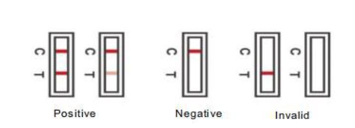 Rapid Test for Antigen Nasal Swab Self-Test Kit for 1 9