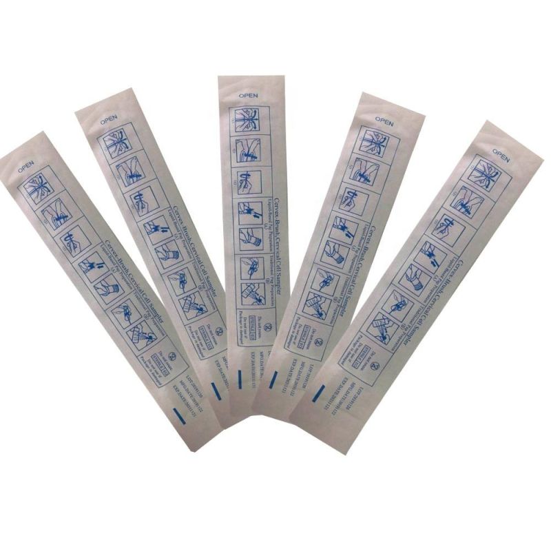 Medical Gynecological Diagnostic Test Swab Cervical Brush with Individual Packing for Women Examination