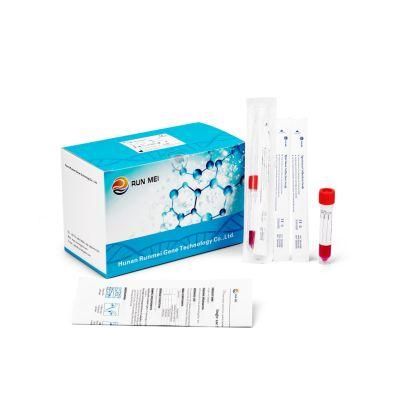 Disposable Virus Specimen Collection Tube Kit with Nasal &amp; Throat Swab Sampling Vtm Kits