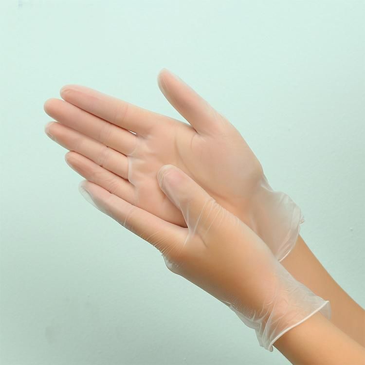 Disposable Vinyl Powdered and Powder Free PVC Glove