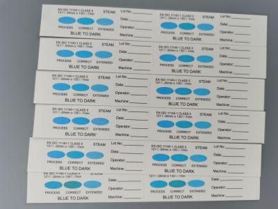 Medical Steam Indicator Sterilization Card Class 6