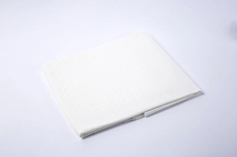 Adult Disposable Bed Pads Bed Protection Mats Nursing Urine Sheet Incontinent Underpad Care Hygiene Premium China Manufacturer