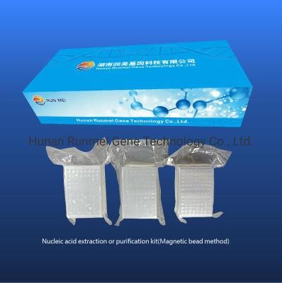 Virus Nucleic Acid Extraction Kit, Nucleic Acid Detection Kit Magnetic Bead Method, Rapid Virus Test Kit