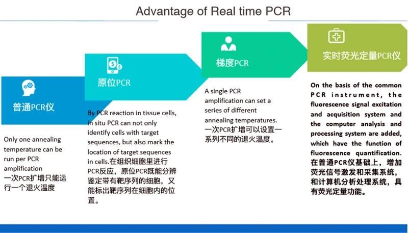 Rapid Real Time PCR Test Real-Time PCR System PCR Real Time Machine