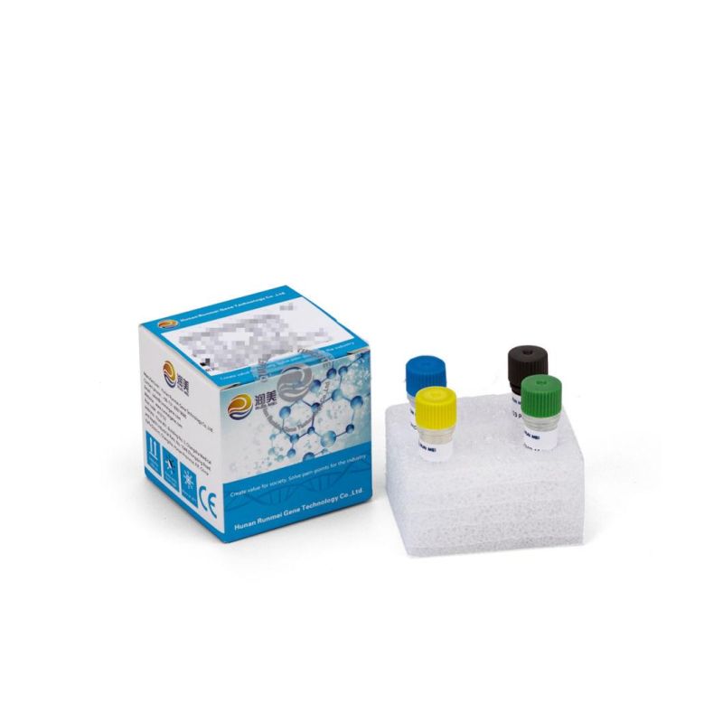 Nucleic Acid Real Time PCR Test Reagent Kit for Testing Effectiveness Against Variants B. 1.1.529 Omicron From Original Manufacturer with CE