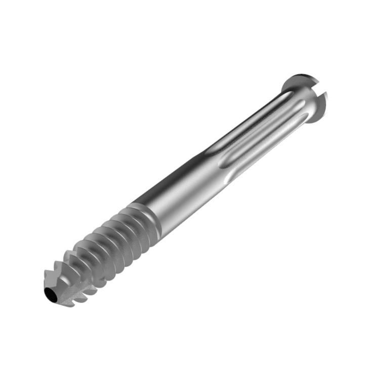 Canwell Lag Screw of Proximal Femur Nail, Lag Screw for Nails Pfn