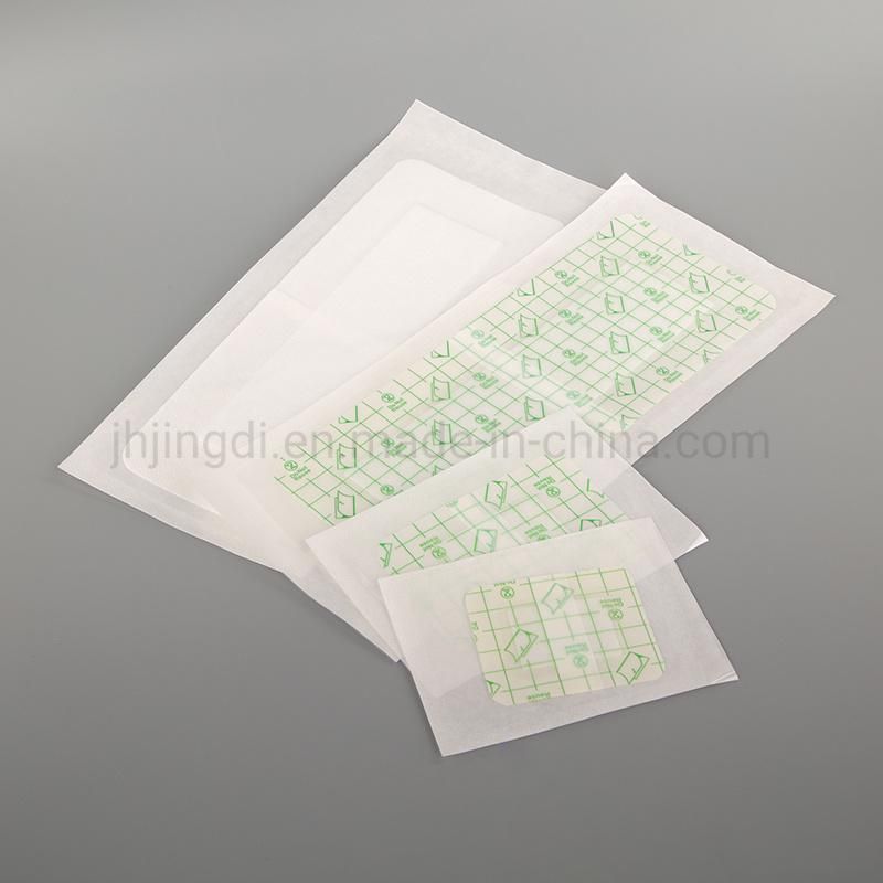 Foot Care Anti-Wearing Waterproof Dressing Pad Gel Blister Plaster