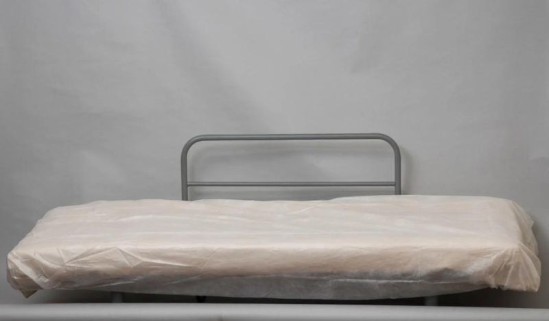 Odorless Disposable Medical Use CPE Bedcover for Prevent Cross Infection and Keep Sanitary