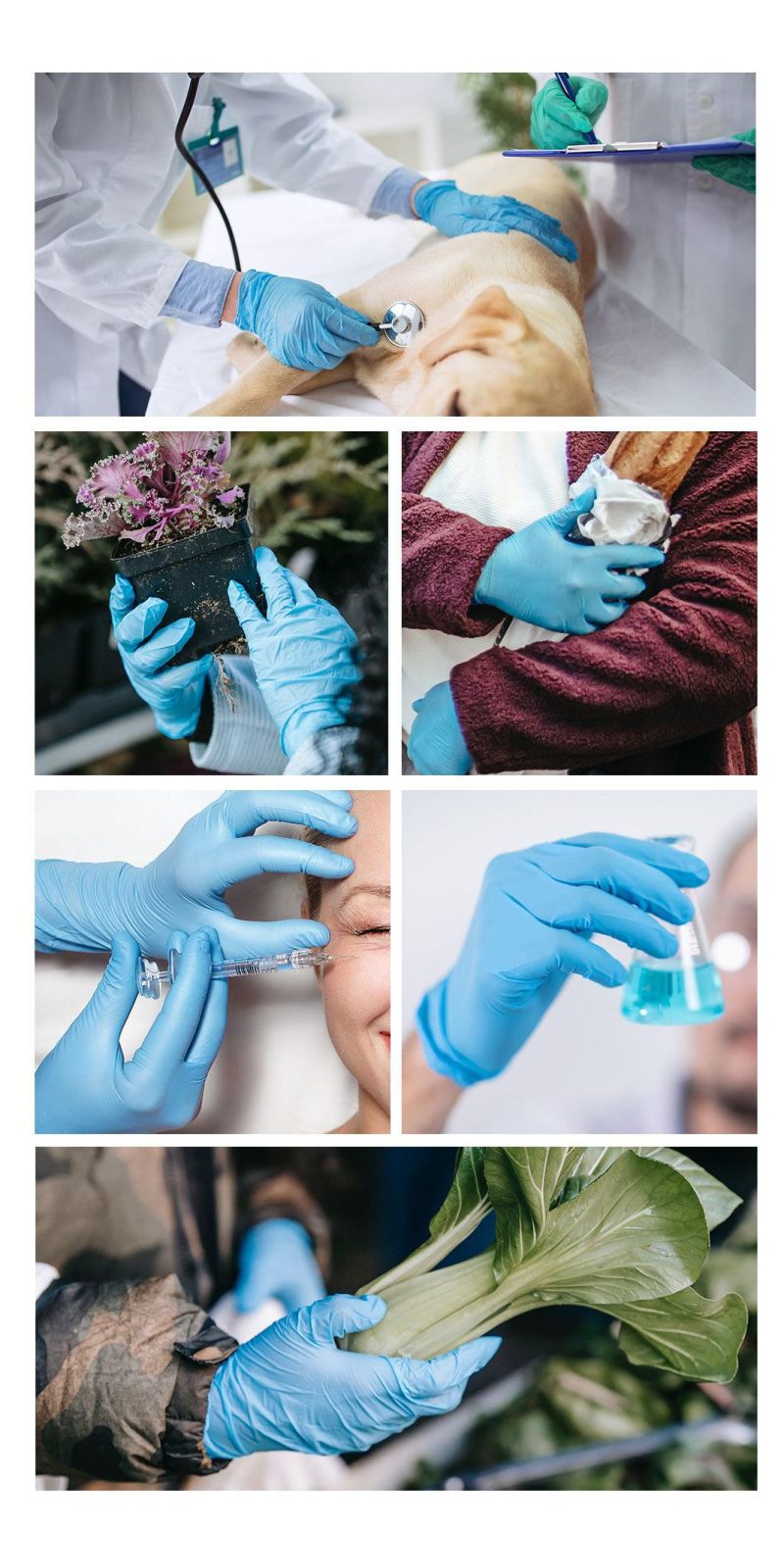 Disposable Nitrile Inspection White, Blue and Blackgloves