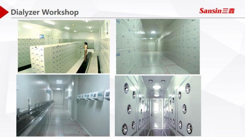 Medical Wholesale High Fast Flux Polyethersulfone Purification Blood Hemodialyser Dialyzer Price