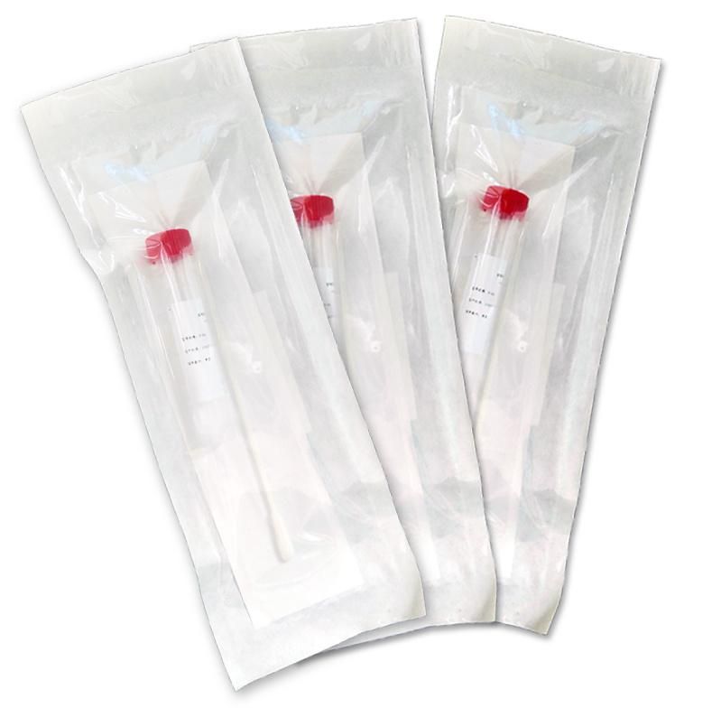 Analysis Sample Collection Swab Kit /Vtm Transport Medium Tube Kit with Swab