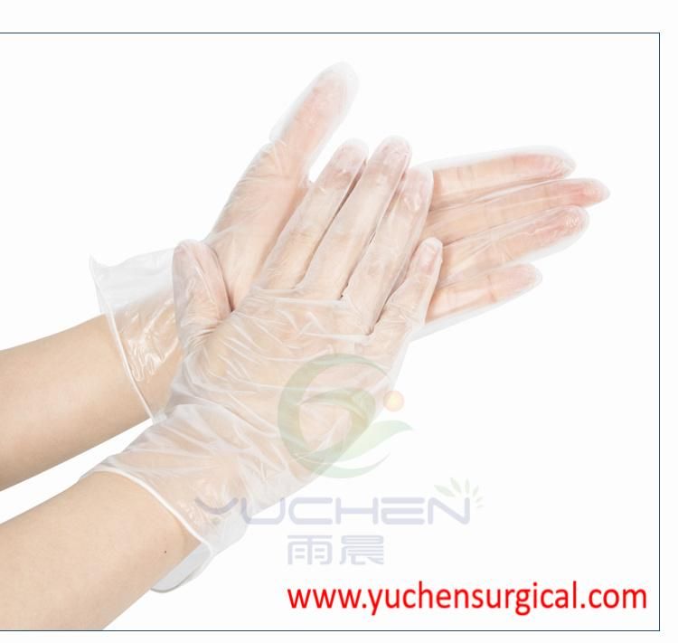 Disposable Clear or Blue Vinyl Gloves PVC Gloves Powdered or Powder Free for for Kitchen and Cleaning Room