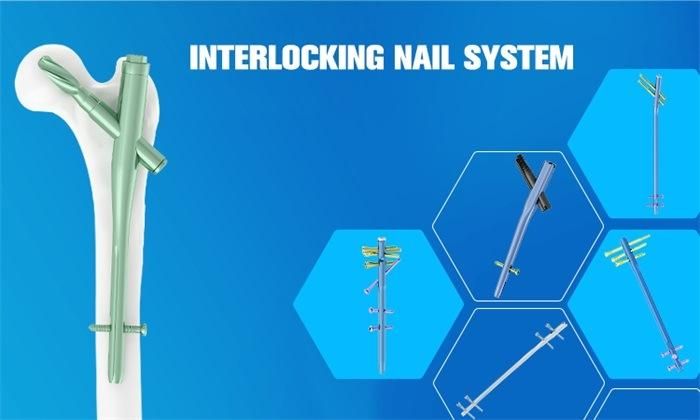 Custermized Product Femoral Interlocking Intramedullary Nail (Multi-function) Orthopedic Implant