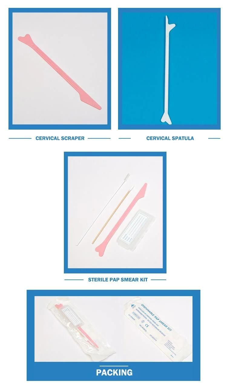 Hot Selling Disposable Portable Sampling Kit Gynecological Medical Cervical Brush