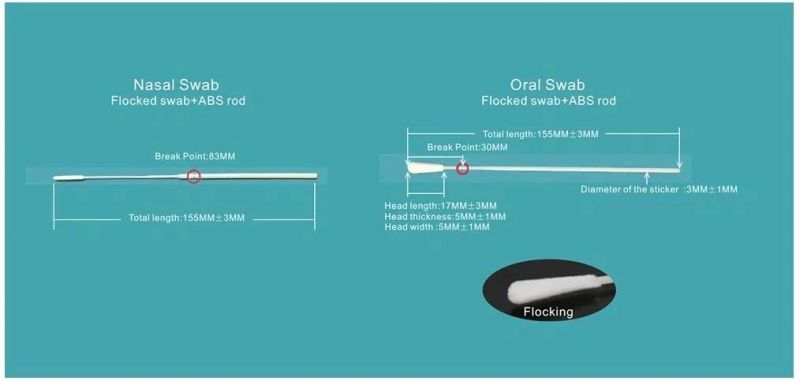 Nasal or Throat Swab Disposable Virus Collection Vtm Kit with 10ml Tube