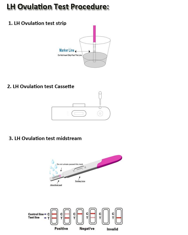 High Sensitivity Rapid Fertility Test Paper Individually Wrapped Ovulation Strips