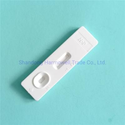 One Step Diagnostic Test H Pylori Antibody Blood Test