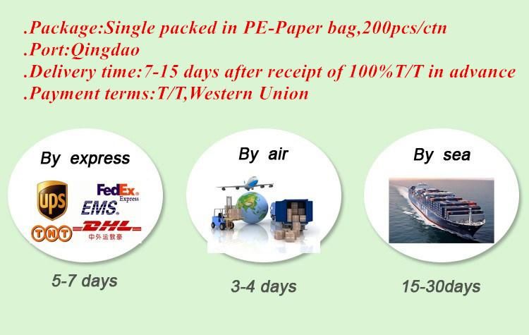 Medical Disposable Tracheostomy Hme Filter with Free Sample