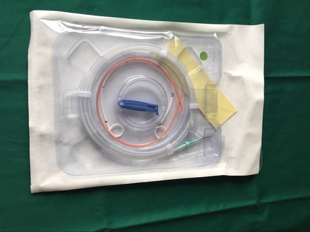 Reborn Medical Hydrophilic Coating Jj Stent Catheter F4- F8 with CE Certificate