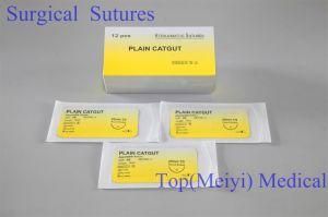 Surgical Suture -- Plain Catgut Surgical Suture with Needle