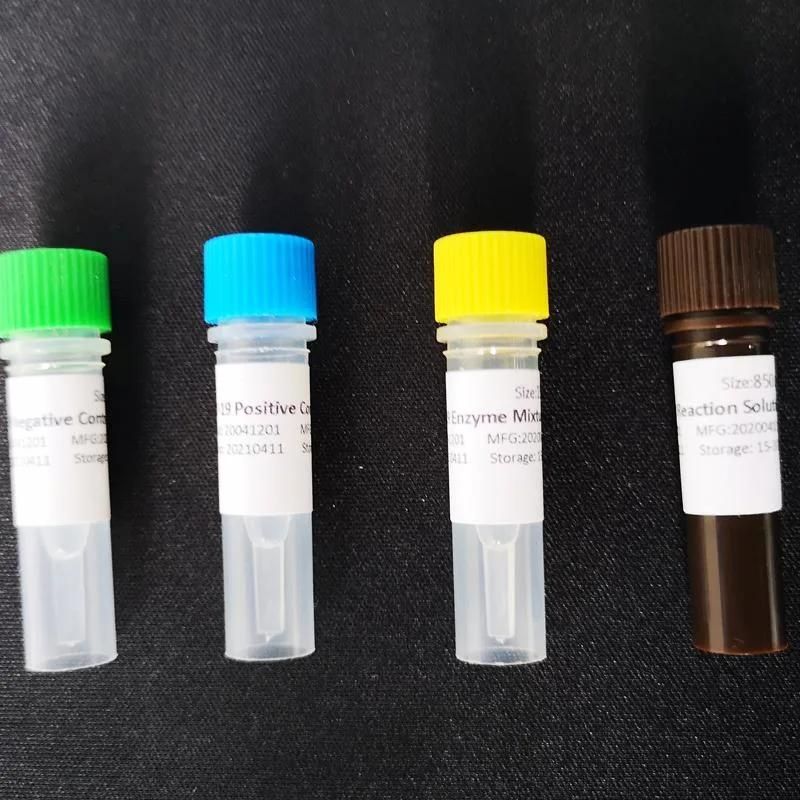 Salmonella Nucleic Acid Detection Pre-Packed Kit (fluorescence PCR method)