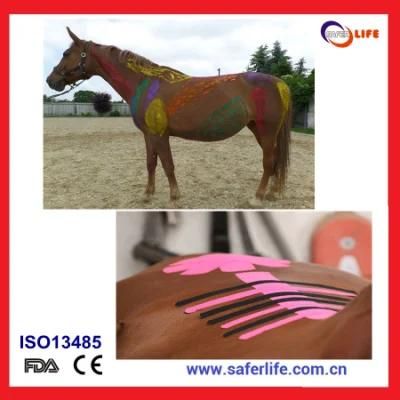 Contemporary Customize Kinesio Tape for Horse and Sport