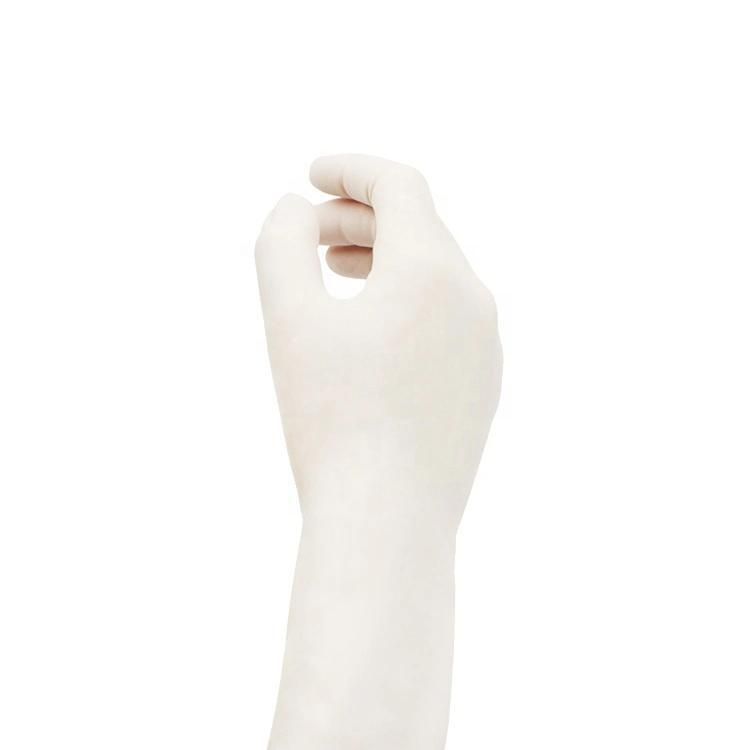 High Quality Disposable Latex Gloves Powder Free