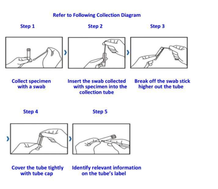 Disposable Sterile Sample Collection Cotton Swab