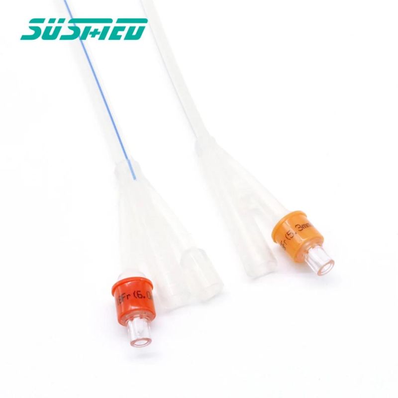 Disposable 100% All Silicone Urinary Catheter 2way 3way Foley Catheter with Size