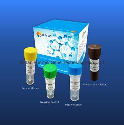 Influenza a Virus H4 Subtype Nucleic Acid Detection PCR Kit