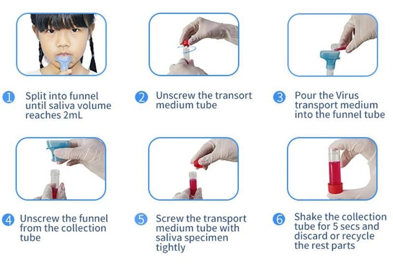 Lab & Medical Saliva Sample Collection Tube DNA Sample Collection Kit Saliva Collector